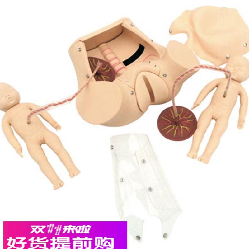 高级分娩综合技能训练模型JY/F20佳悦科教通