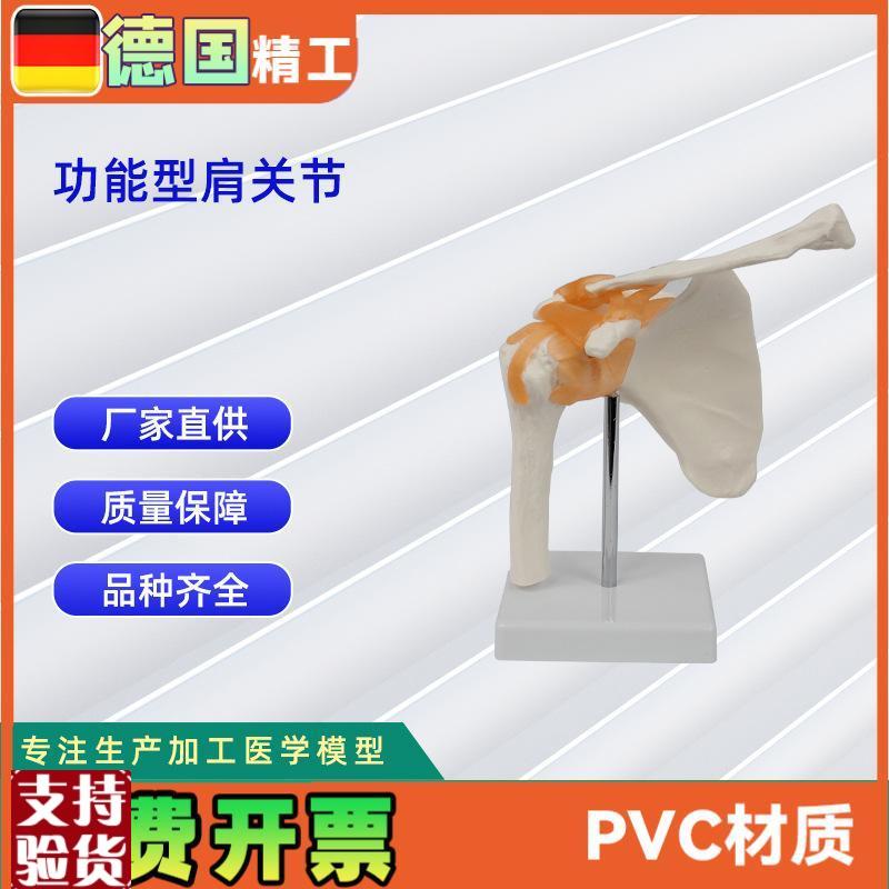 功能型关节合集人体关节模型教学器H材教学演示用品关节骨骼