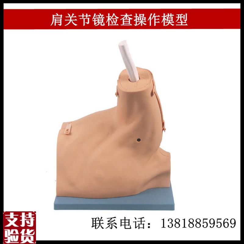 肩关节镜检查操作模型