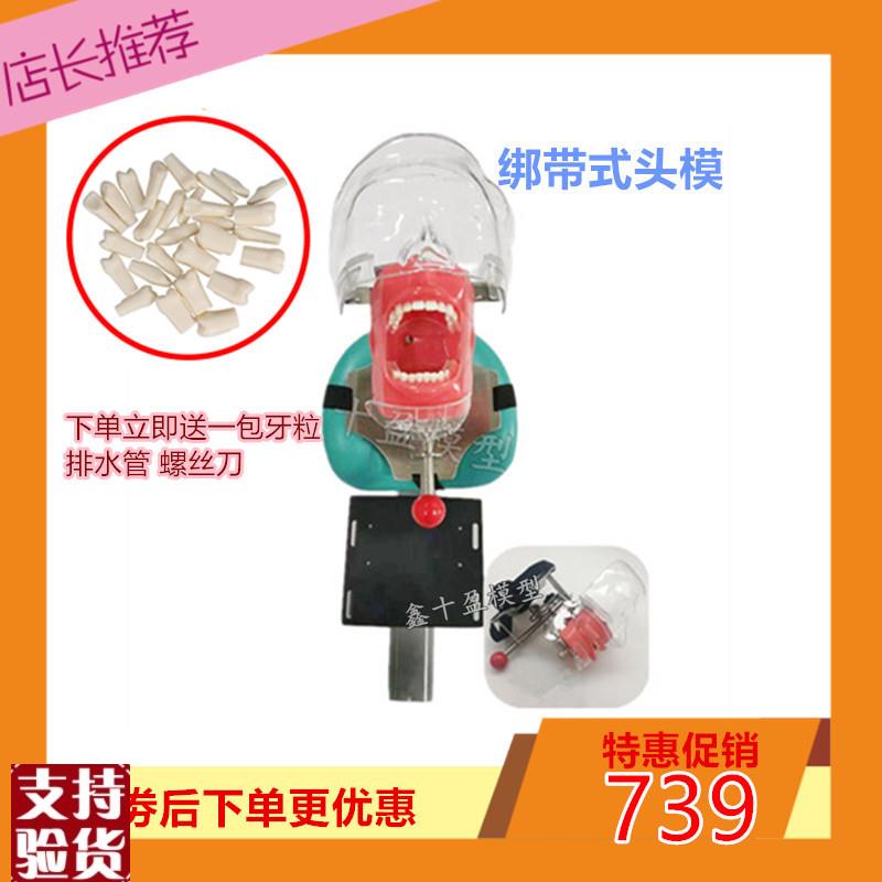 牙科仿真头模备牙练习口腔头颅y种植根管教学牙模开髓模型教学设