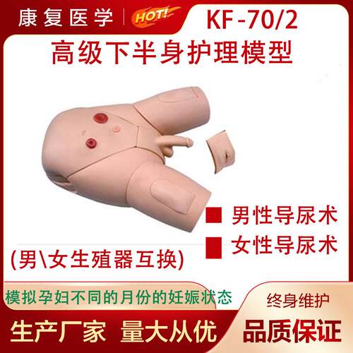 高级男女导尿模型男女导尿互y换模型男性导尿模型女性导尿模型