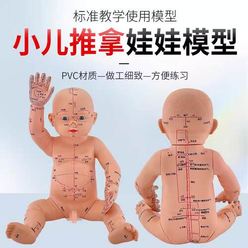 婴儿人体模型儿童娃娃人体模型针灸中医通用N穴位小儿推拿仿真模