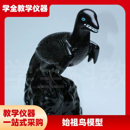始祖鸟化石d及复原模型生物科教仪器小学初高中生物科学教学模型