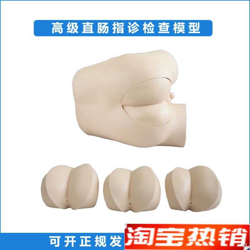 高级直肠指诊检查模型前/列腺触诊模型肛门S检查诊断诊治模型