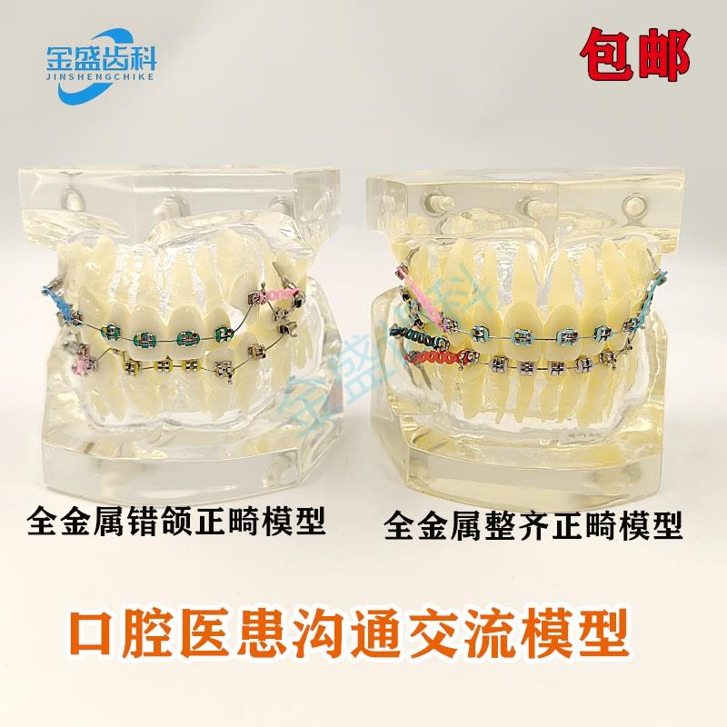 牙科模型正畸结扎丝托槽口腔教学模E型牙齿错颌矫正展示透明牙模