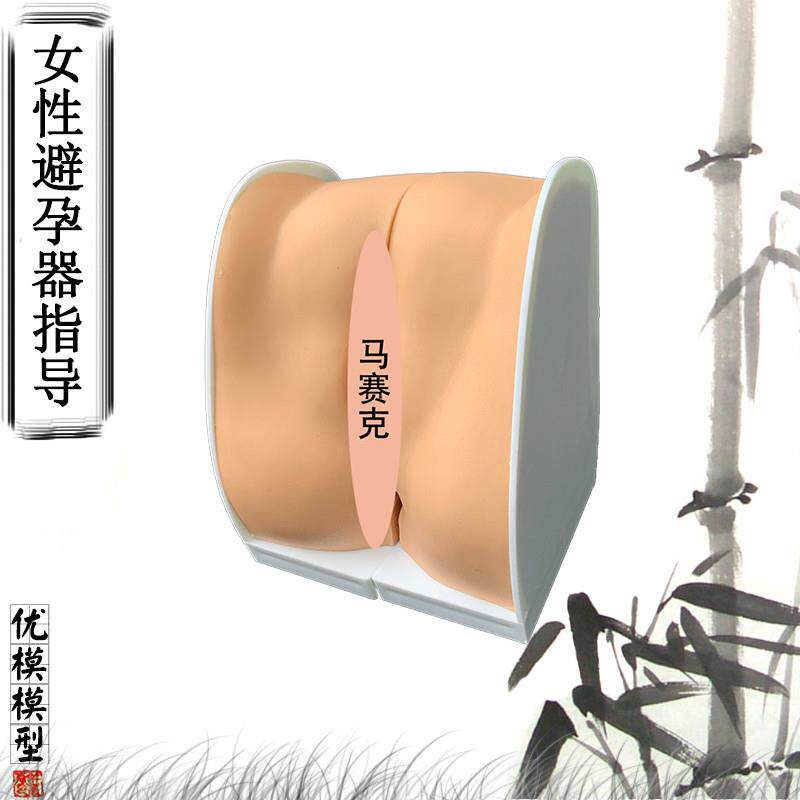 人体女性避孕器安装指导演示模型子宫生H殖器卵巢医院学校教学教