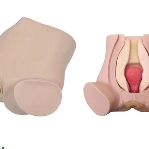 诊断性刮宫监测考核指导模型诊E断性刮宫妇科检查仿真模型