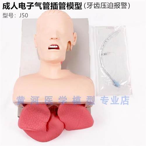 J50成人电子h气管插管教学模型人体急救训练模型(牙齿压迫报警)
