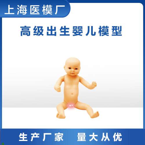 家政培训教学模型全身出生婴儿模型(男I婴/女婴任选柔软型)FT3