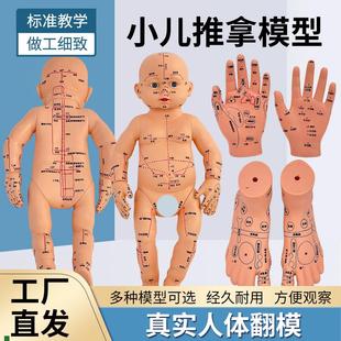 小儿推拿b娃娃全身穴位经络图按摩书中医教学保健月嫂培训宝宝模