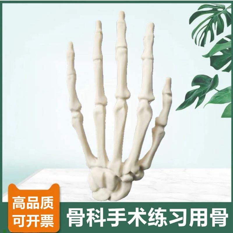 1比1手b骨模型临床骨科手术练习用仿真骨医师技能考试左右手腕骨