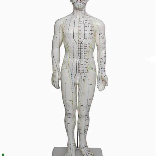 人体针灸模型(男q)60CM人体模型医学模型
