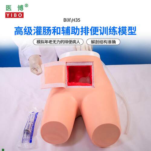 医博BIX-H35高级灌肠模型辅助排便和及灌肠训练习模型医学用灌肠Y