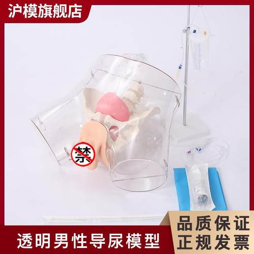 沪模HM/HD5/HD6透明导尿模型导尿操作演示训练模J型男性女性导尿
