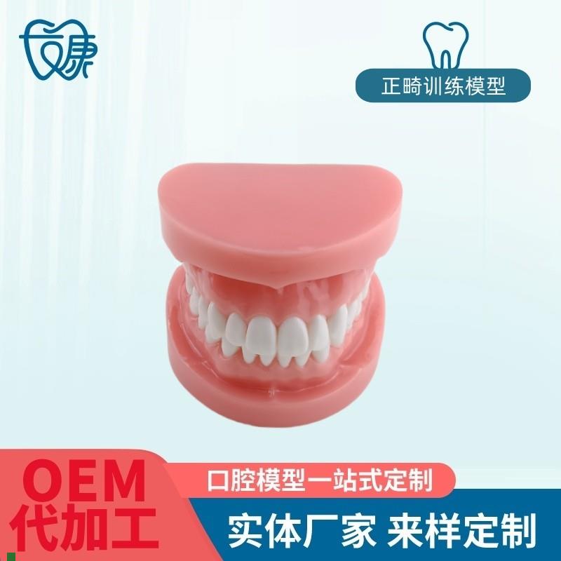 正畸错位牙齿模型牙齿矫正模型厂家直供口腔教P学模型牙齿托槽矫