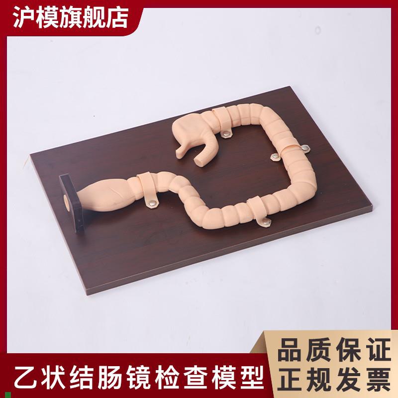沪模HM/LV42乙状结肠镜检查训练模型结肠内肠病变模型消化道I内窥