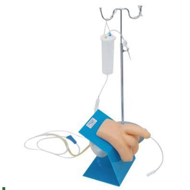 高级男性导尿模型男性导尿B术练习模型导尿操作实习模型