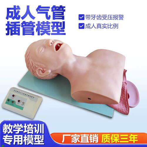高级气管插管训o练模型带电子报警厂家直销品质保证
