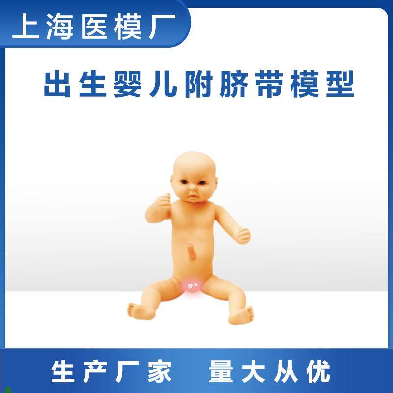 妇婴训练护理高级出生婴儿附z脐带模型皮肤柔软男婴女婴任选