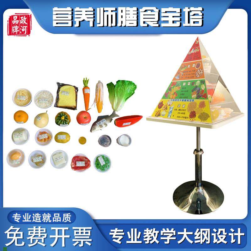 政河中国居民平衡膳食宝塔v模型健康食物营养师金字塔仿真食品模