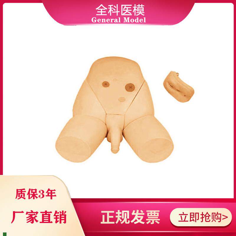 男女性别可互g换整体导尿模型护士导尿练习着装式内外生殖器模具
