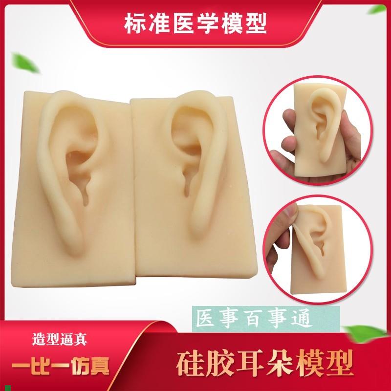 硅胶耳朵模型软TPR耳朵t模型厂家供应仿真人耳助听展示道具包邮