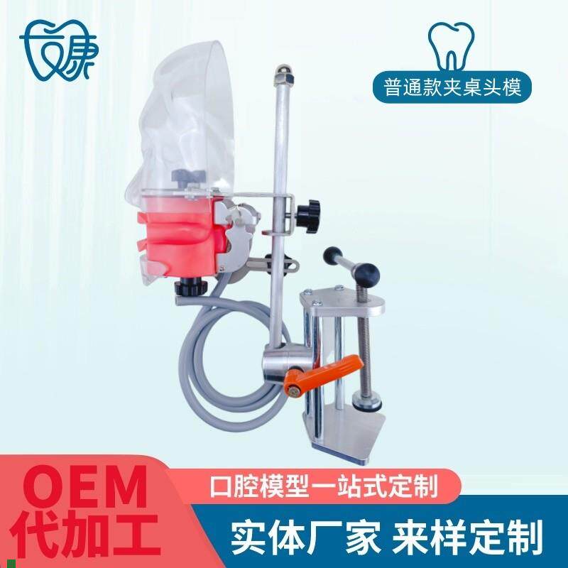 牙科简易仿真头模树脂可r拆卸牙齿备牙正畸修复仿头模口腔教学模