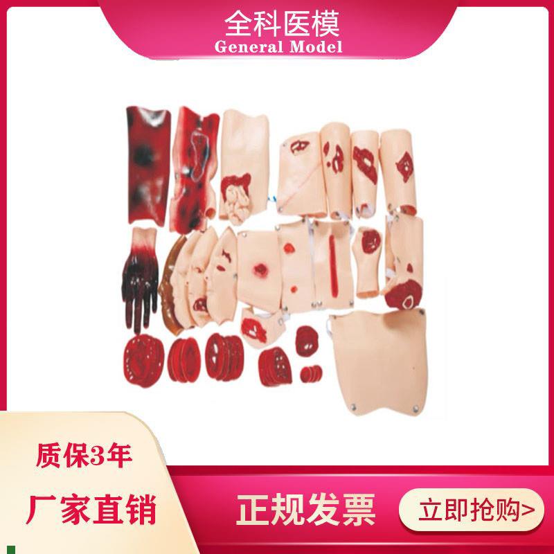 G110-d43部件创伤评估模块伤情化妆套装战救伤口识别练习模型