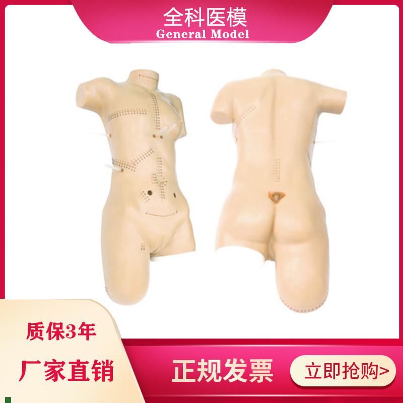 外科缝合包扎展示模型全身外科清创切开缝合拆线R换药操作训练模