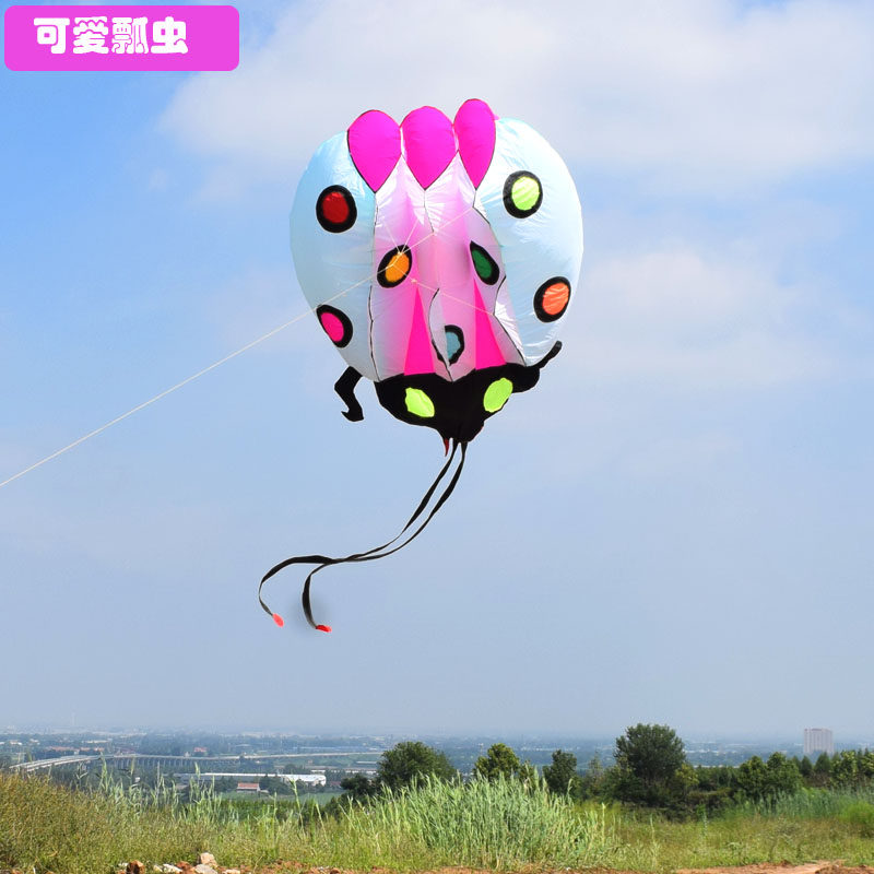 软体风筝瓢虫风筝潍坊高档风筝软体无骨易飞大人专用大号特大风筝