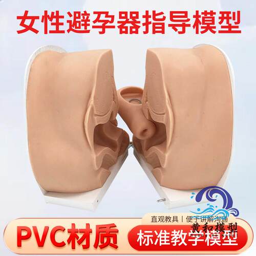 妇科教学模型成人生育软r硅胶避孕检查子宫盆底肌闭合产后产康教