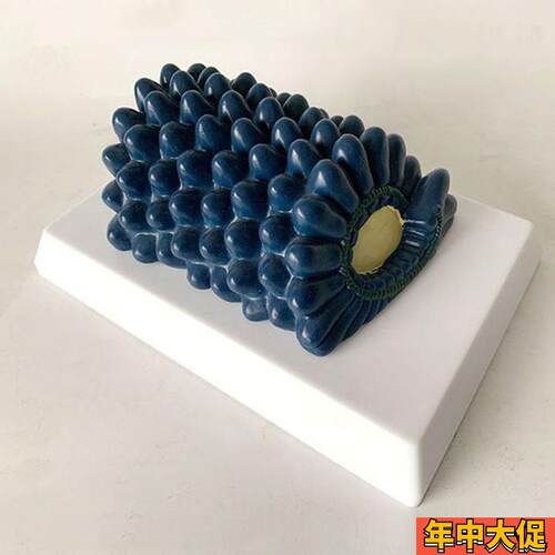 杆状病毒模型腺病毒冠状病毒噬菌E体中学生物课教具医用展示