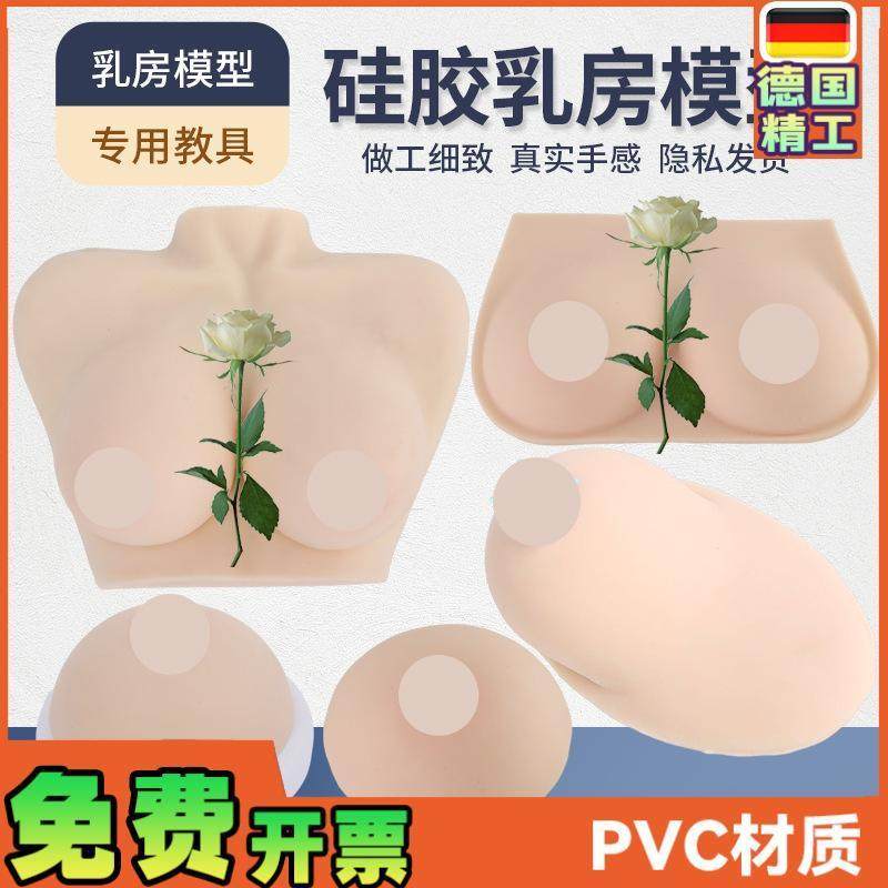 高级医学仿真女性l乳房义乳假乳催乳师培训教具哺乳教学纯硅胶模