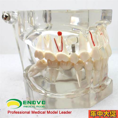 教学仪器/实验器材