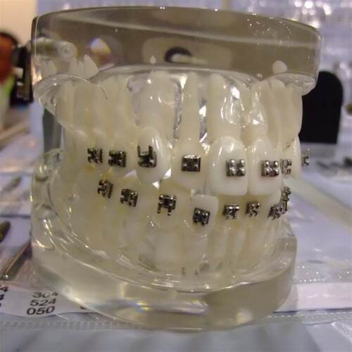 颐诺正品口腔正畸弓丝实训模型正畸训练P口腔正畸弓丝弯制