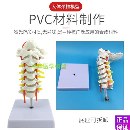銀行支持回購(gòu)指數(shù)繼續(xù)收漲多重優(yōu)勢(shì)支撐中國(guó)市場(chǎng)韌性