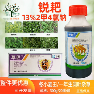 华星草匠 13%二甲四氯钠2甲4氯钠莎草科杂草一年生阔叶杂草除草