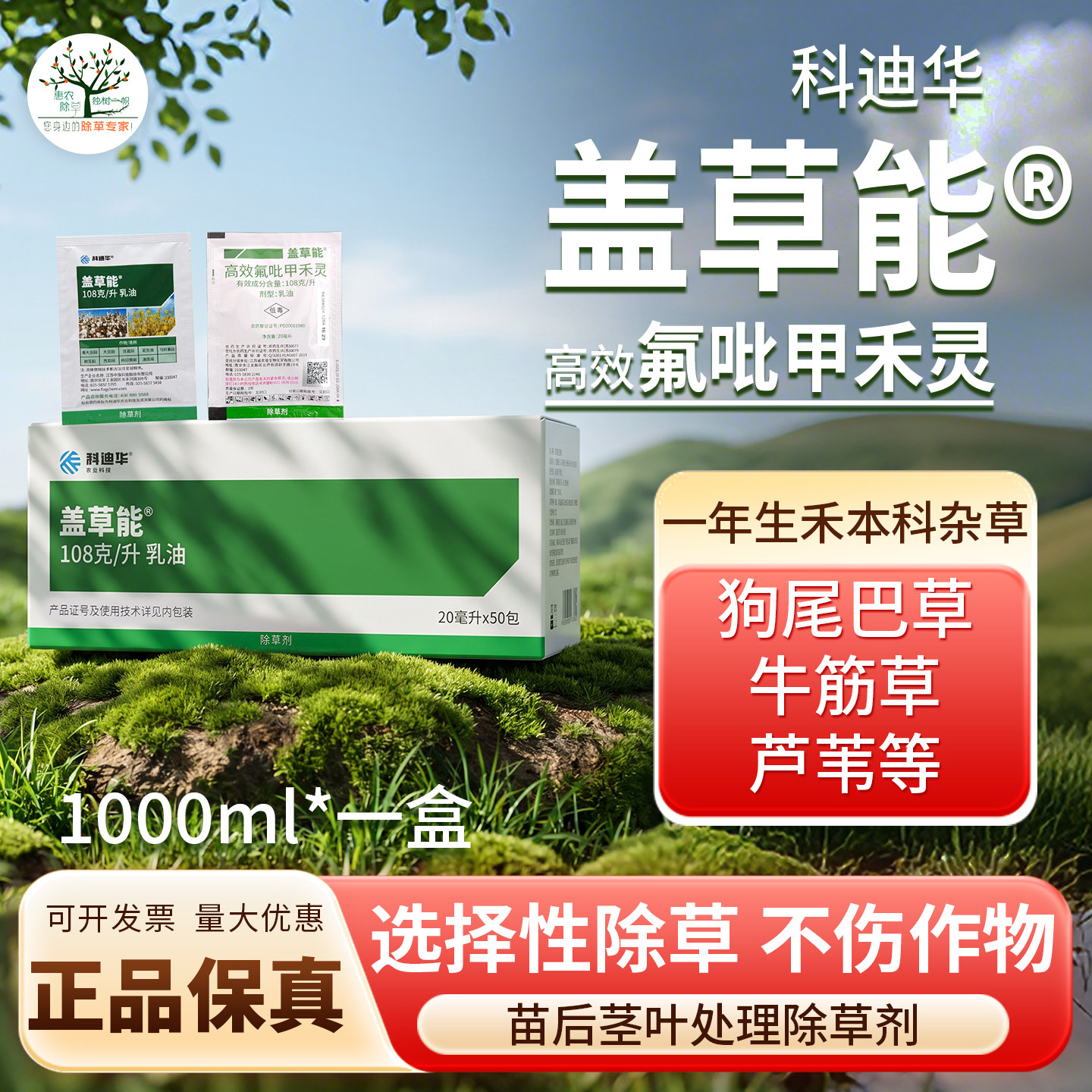 科迪华盖草能高效氟吡甲禾灵除草