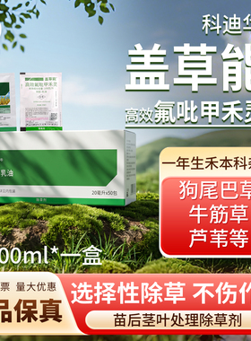 科迪华盖草能高效氟吡甲禾灵芦苇一年生禾本科芦苇杂草除草剂农药