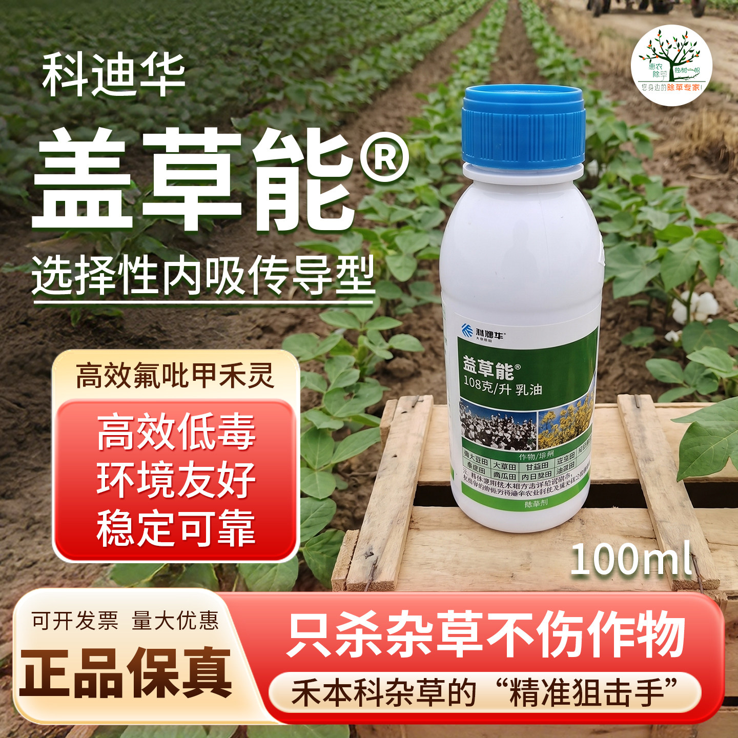 盖草能除芦苇一年生禾本科杂草剂