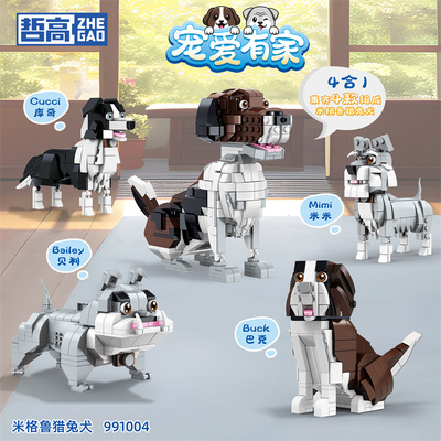哲高米格鲁猎兔犬宠物狗