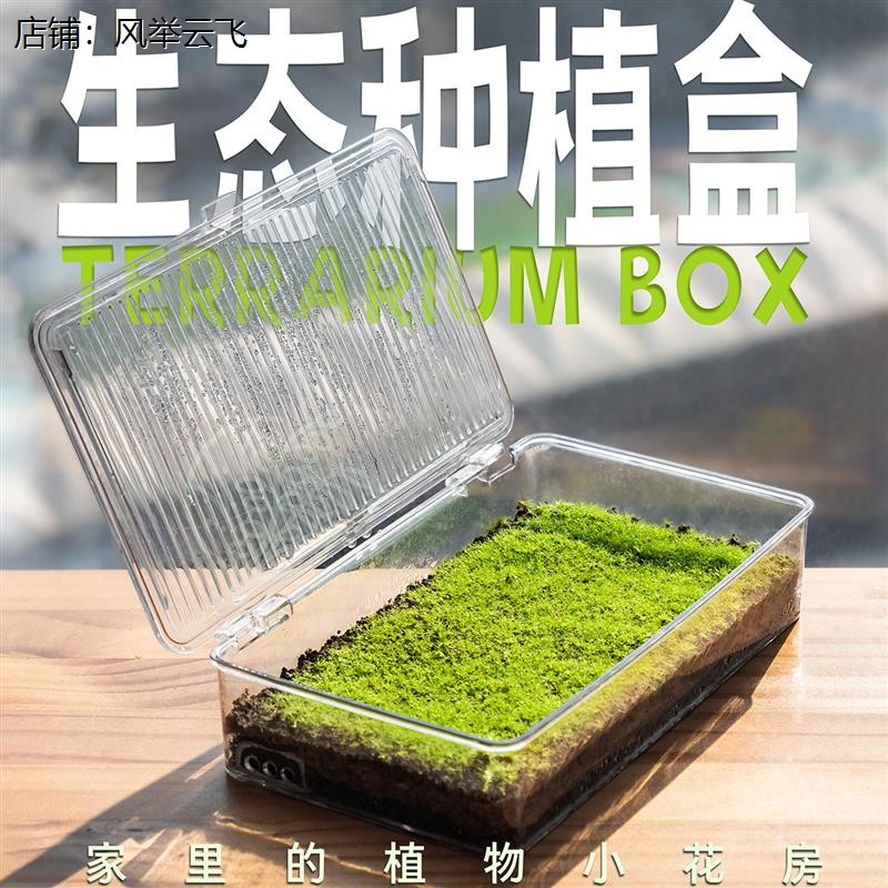 苔藓闷养罩透明保湿繁殖