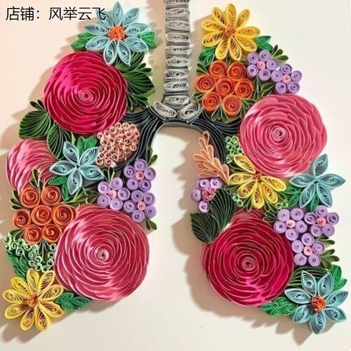 A4衍纸手工diy生物心肺医
