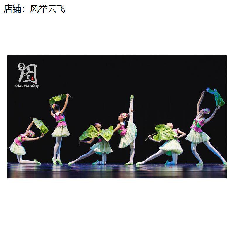 小荷风采小鸟归家家幼儿舞蹈表演服装幼儿小鸡黄鹂喜鹊纱裙演出服