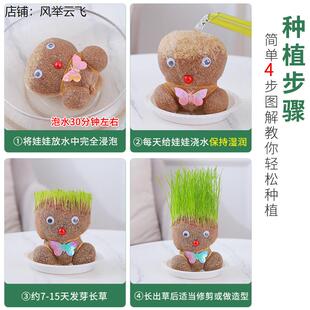 。头上长草的娃娃小盆栽植树节幼儿园植物角趣味小绿植桌面小摆件