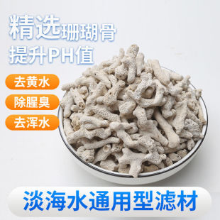 心里的那片海珊瑚骨滤材纯天然精品珊瑚骨海缸