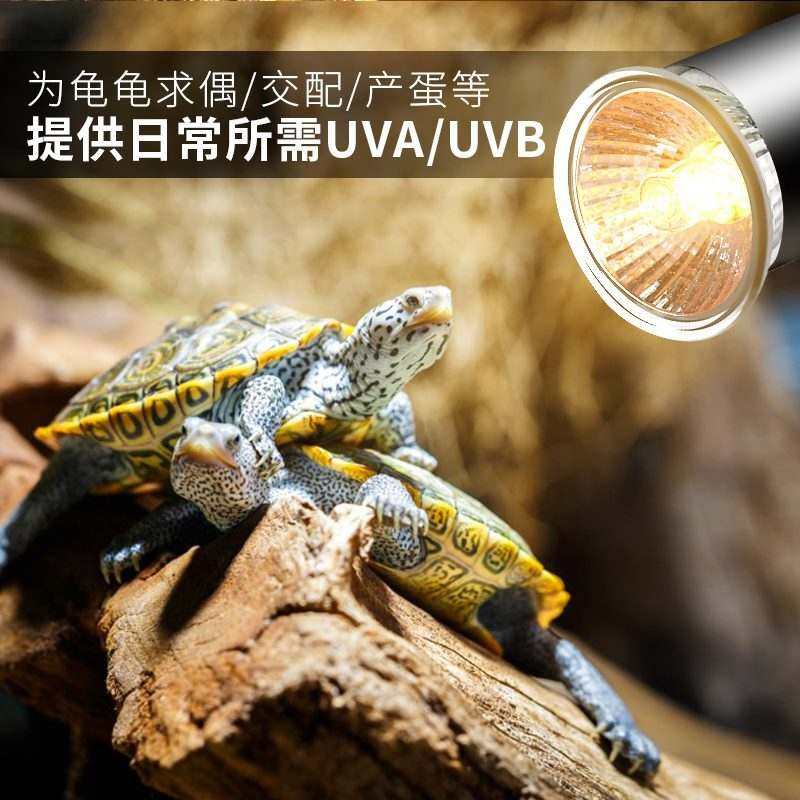 乌龟晒背灯全光谱太阳灯豹龟玻璃箱灯罩台灯架保暖保温晒被陆龟_虎窝淘