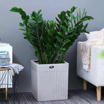陶瓷花盆简约客厅阳台落地种摆树四方盆绿植大口径特大号放金钱w.