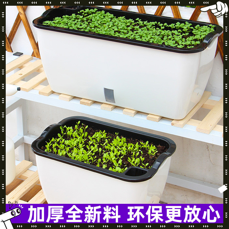 阳台长方形家庭特大蔬菜种菜盆懒人自动吸水免浇水家用种植箱包邮