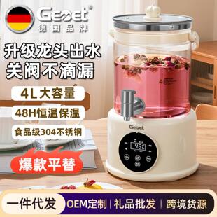 德国水龙头养生壶炖煮一体2025新款多功能花茶烧水壶大容量煮茶壶